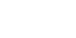 FLANDERS INVESTMENT & TRADE